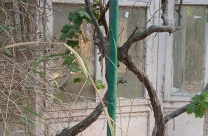 Villa - 6 Bedrooms - 4 Bathrooms for sale in Manial Shiha - Giza Villa - 6 Bedrooms - 4 Bathrooms for sale in Manial Shiha - Giza
