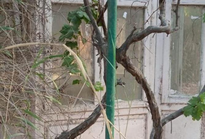 87830704 - Property Image 3