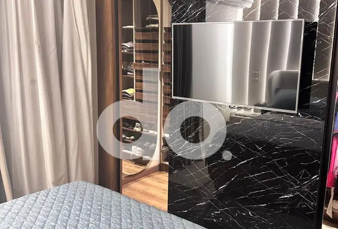 117528919 - Property Image 2