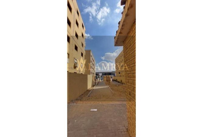 8604645 - Property Image 3