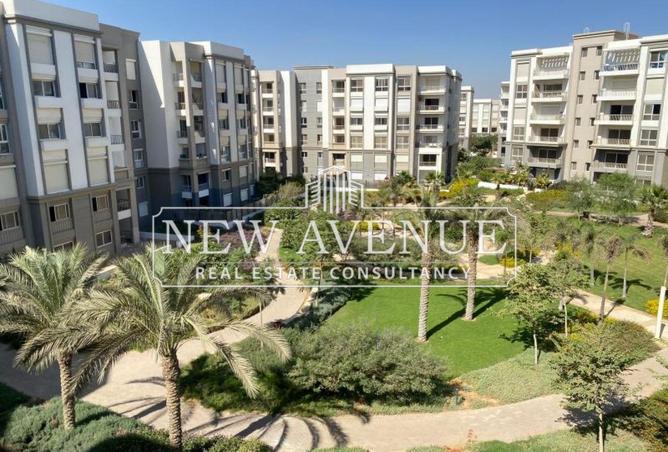 57489493 - Property Image 3