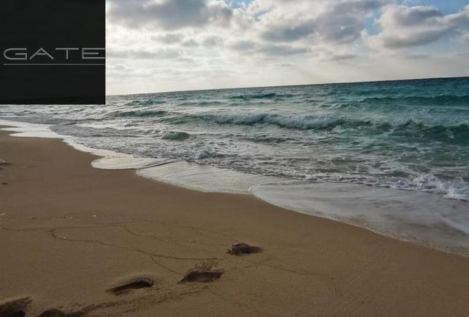 66694740 - Property Image 3