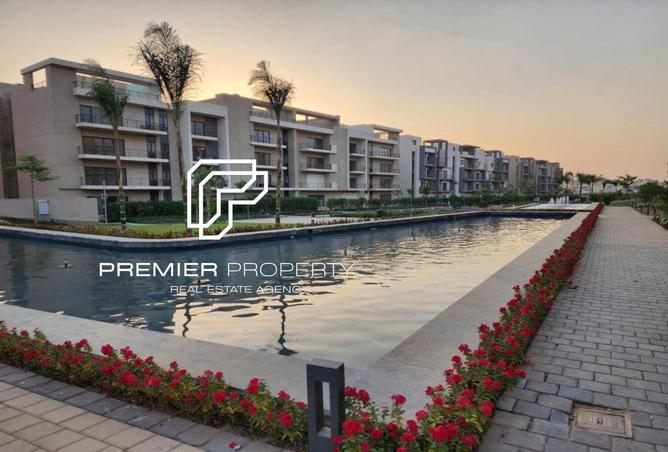 54237225 - Property Image 3