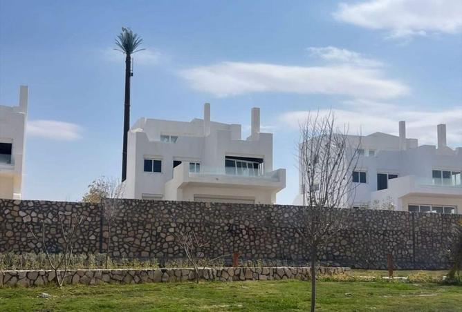 63137004 - Property Image 3