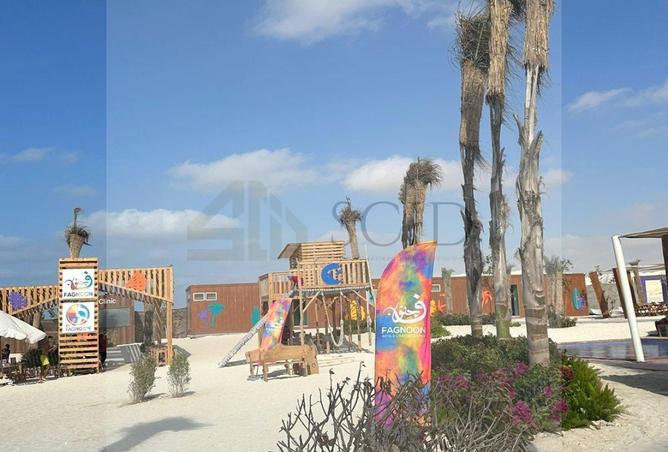 67730732 - Property Image 2