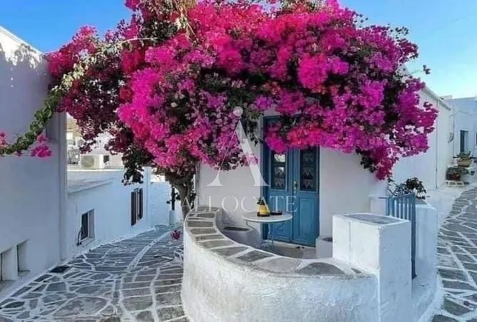 96854469 - Property Image 3