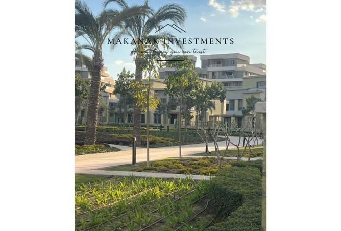 62895157 - Property Image 3