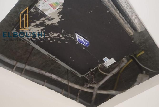 8380853 - Property Image 3