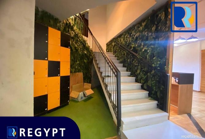 52449257 - صورة العقار 3