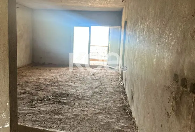 113816435 - Property Image 2