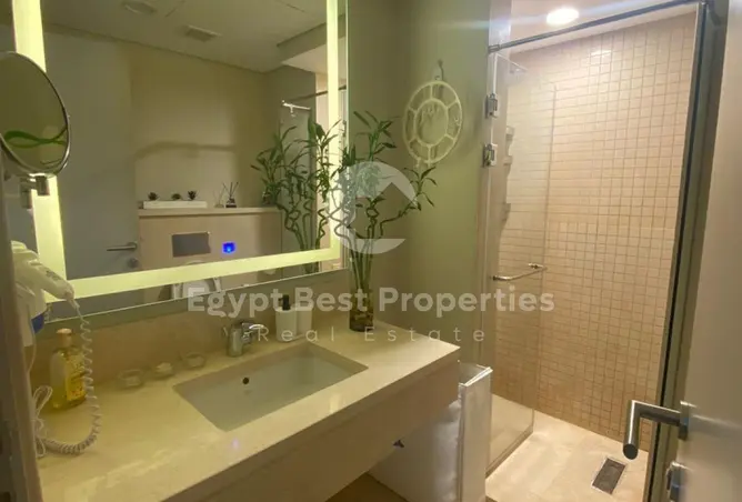 116496982 - Property Image 3