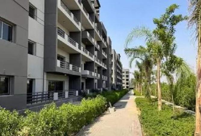 57234245 - صورة العقار 3