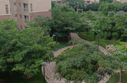 Apartment - 3 - 1 for rent in B7 - Madinaty - Cairo