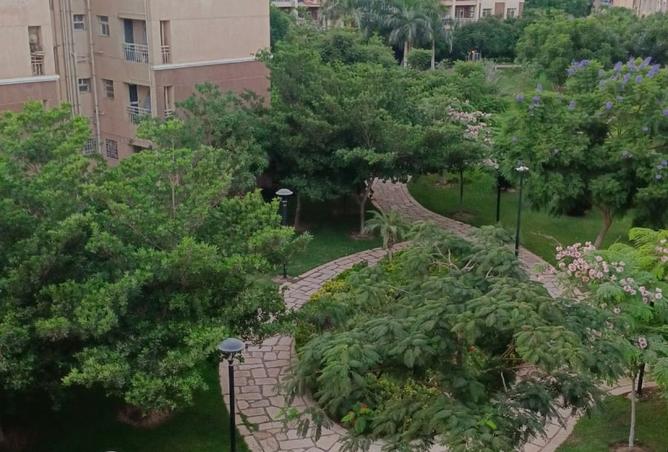 108793472 - صورة العقار 2