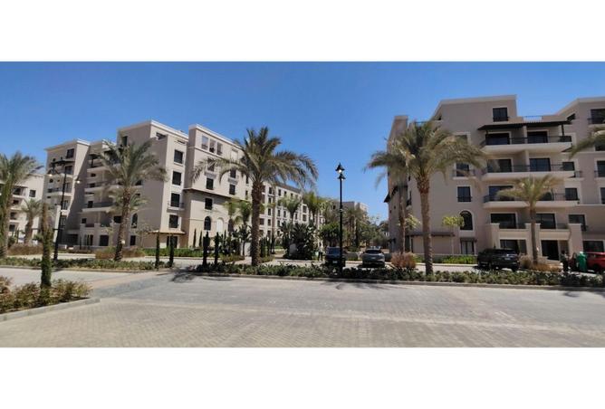 55993736 - صورة العقار 3