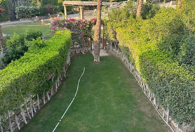 68524237 - الصورة الرئيسية للعقار