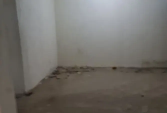 115450733 - صورة العقار 3