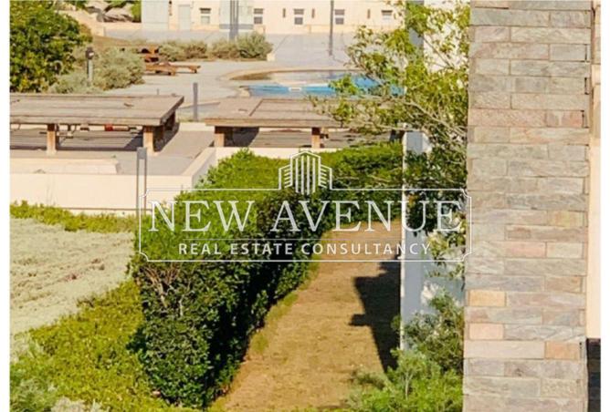 58248478 - صورة العقار 2