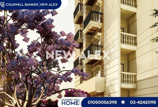 8701774 - Property Image 3