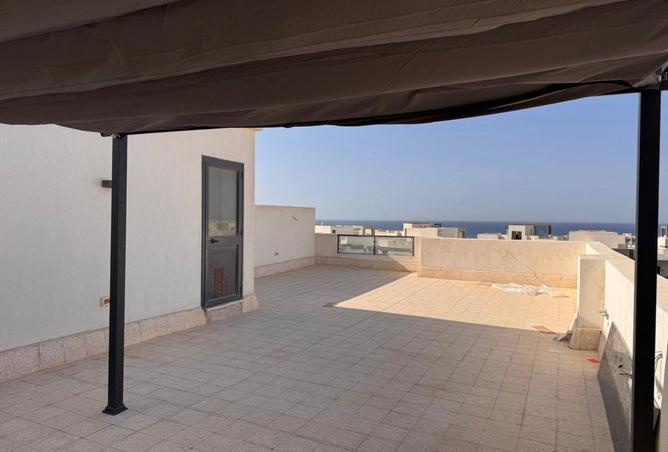 66437525 - Property Image 3