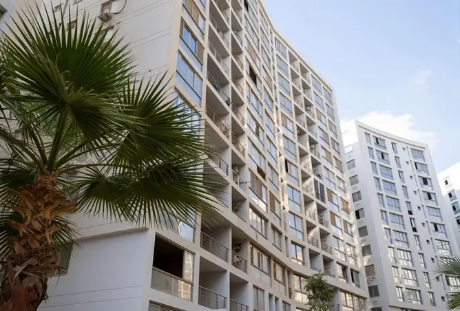 97719449 - Property Image 3