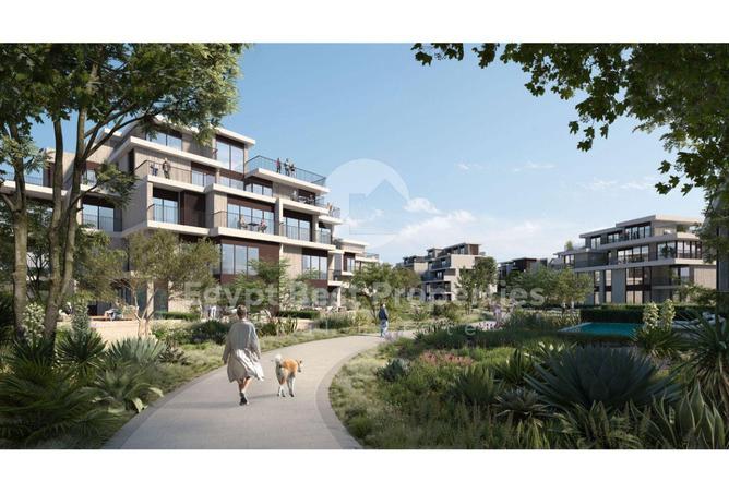 53975104 - Property Image 3