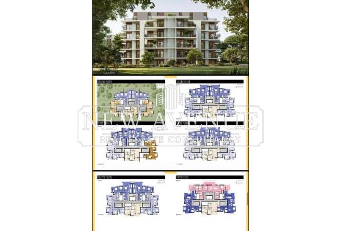 63383397 - صورة العقار 3