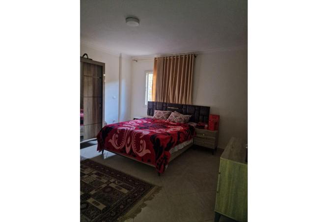 64141911 - Property Image 3