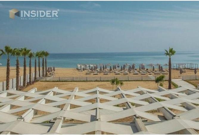 8721187 - Property Image 3