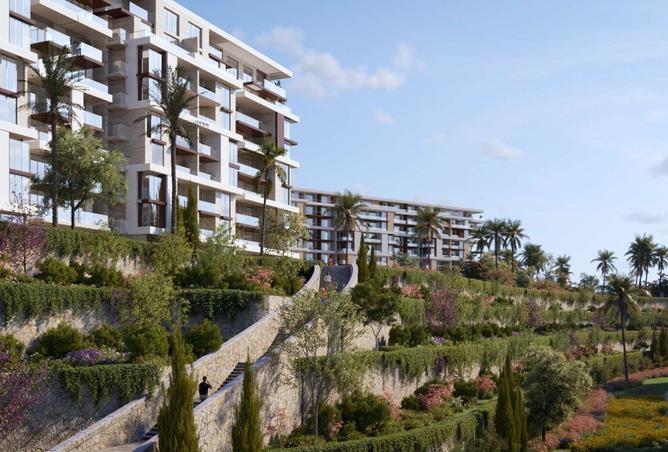 8423360 - Property Image 3