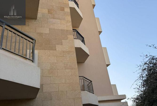 56008936 - Property Image 3