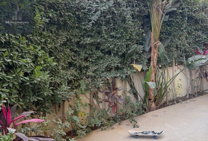 56008936 - Property Image 2