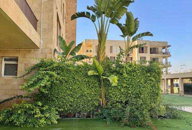 8685536 - الصورة الرئيسية للعقار