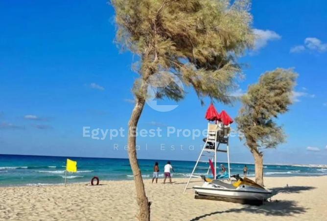 64133925 - صورة العقار 2