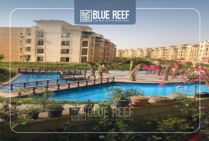 8584094 - Property Image 2