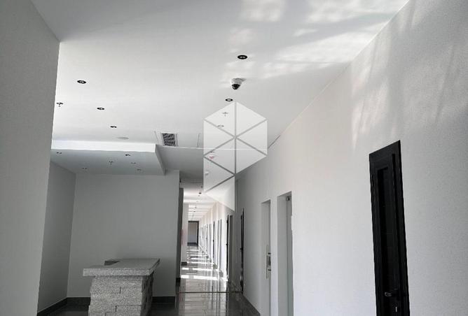 61924479 - Property Image 3