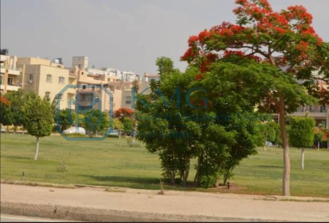 81318522 - الصورة الرئيسية للعقار