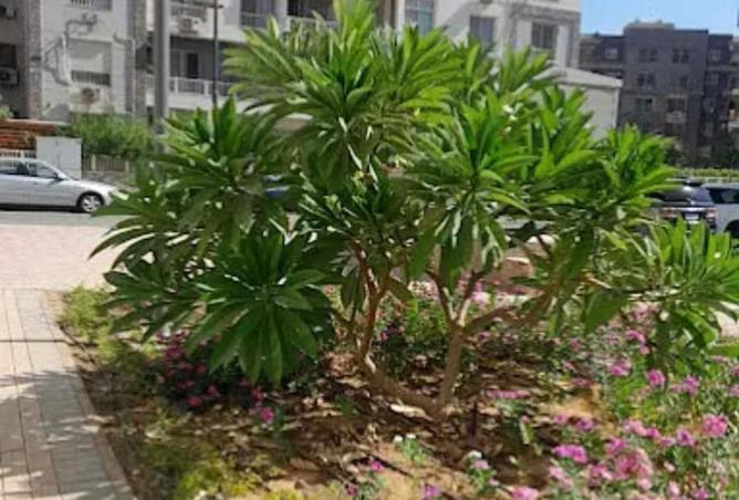 52195063 - صورة العقار 2