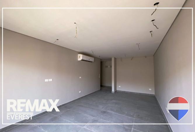 102902739 - Property Image 3