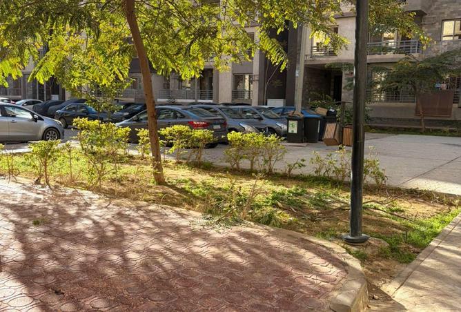 62646010 - صورة العقار 3