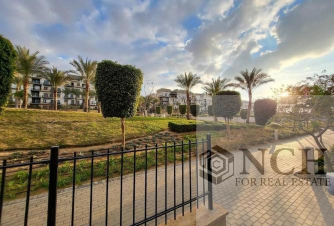 53475385 - Property Image 3