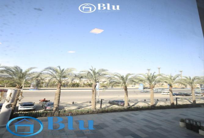 81301683 - صورة العقار 3