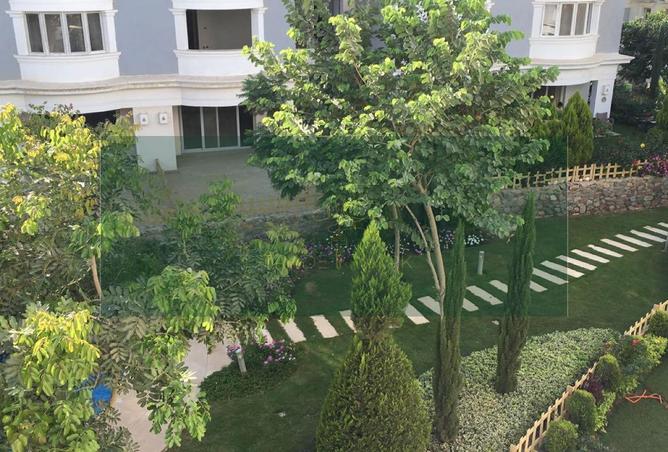 52709877 - Property Image 2