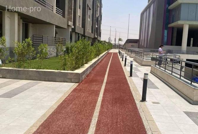 65167184 - صورة العقار 3