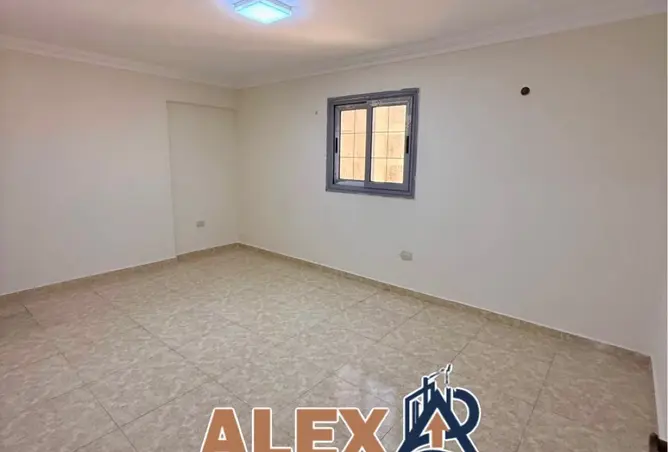 117528256 - Property Image 3
