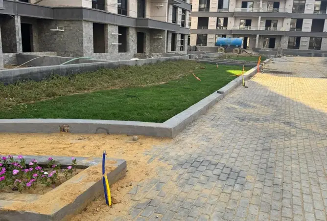 118285673 - Property Image 3