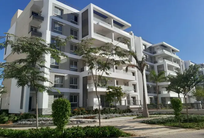 113800970 - Property Image 3