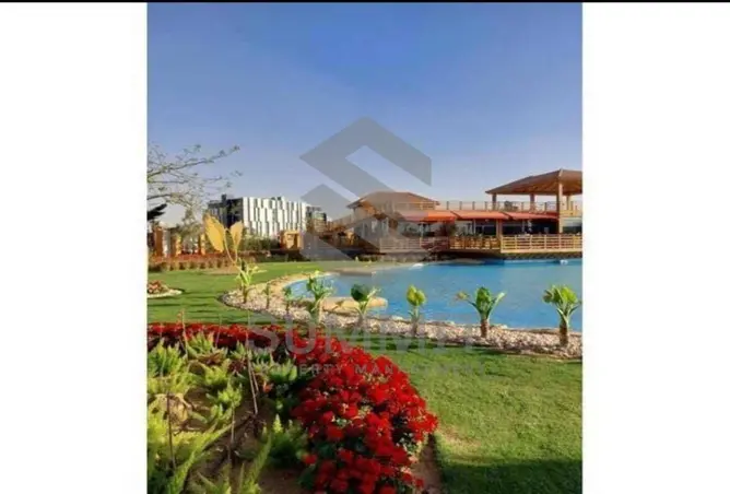 111605972 - Property Image 3