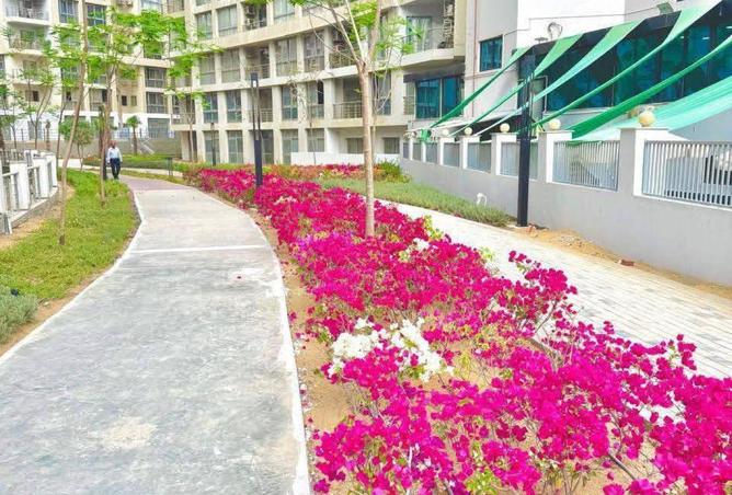 8641789 - صورة العقار 3