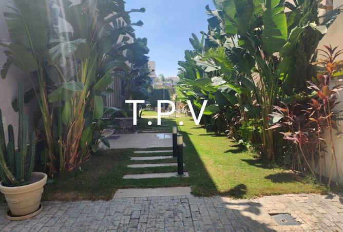 56505446 - صورة العقار 3